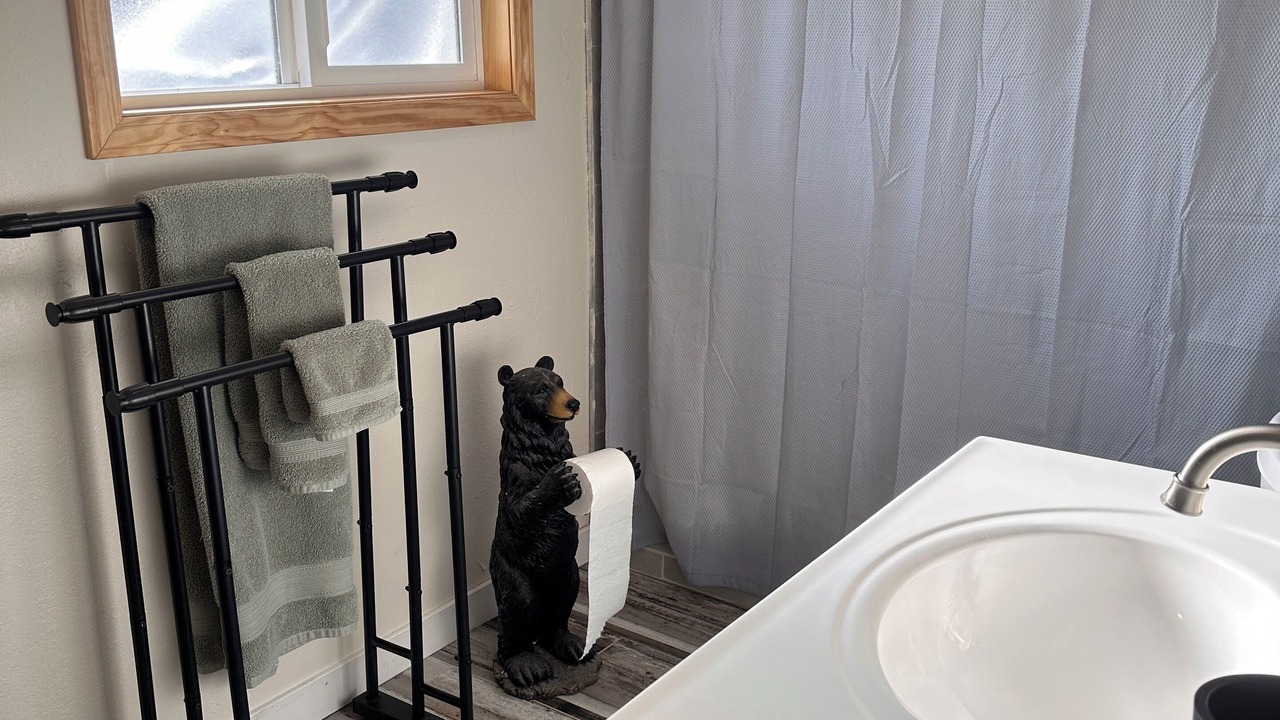 Photo of Bathroom in Leadville North