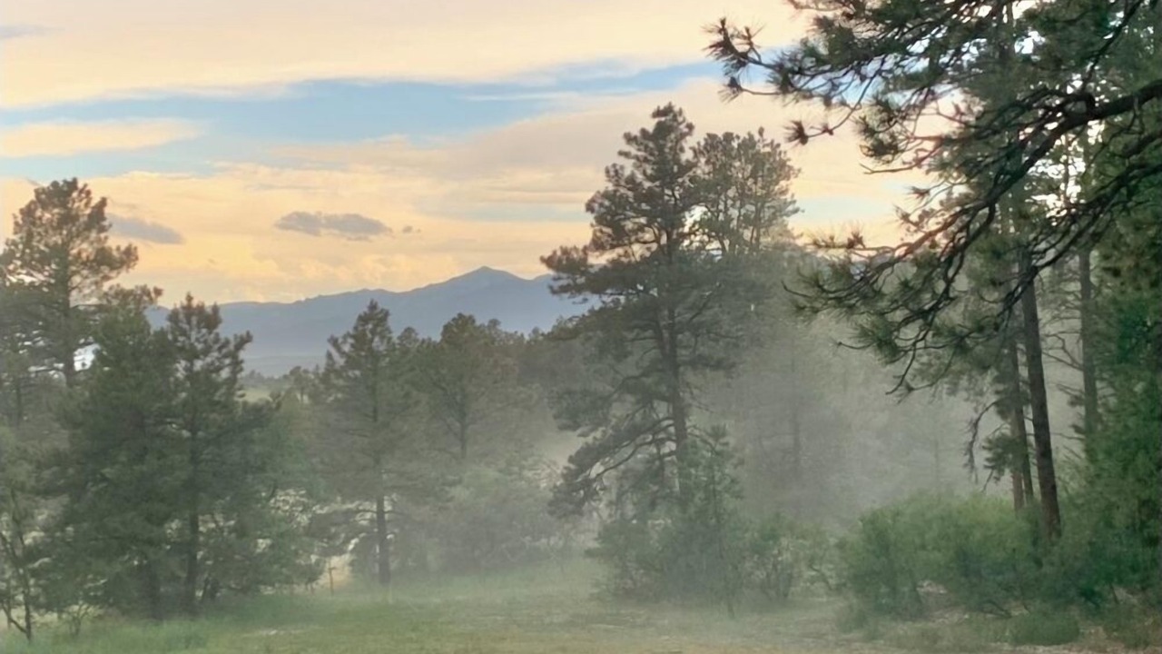 Photo of Others in Colorado Springs