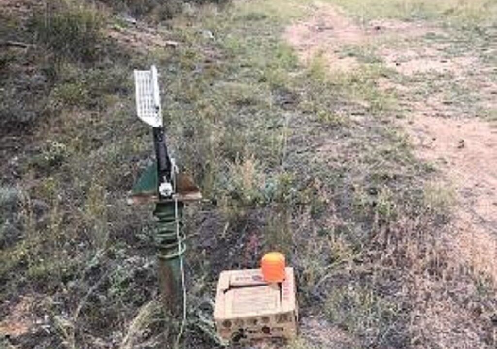 Photo of Outdoor in Pine