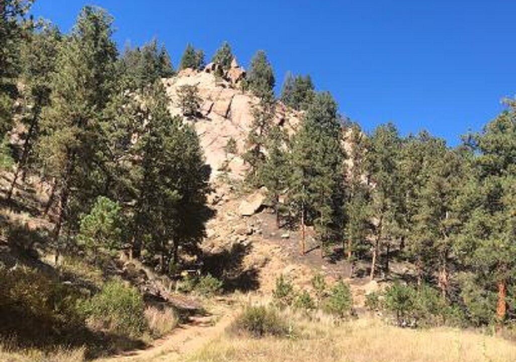 Photo of Outdoor in Pine