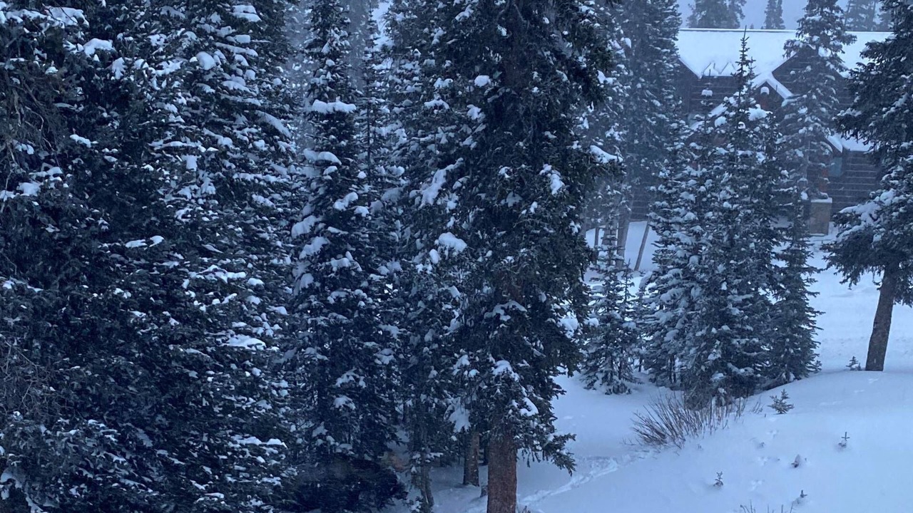 Photo of Others in Quandary Village