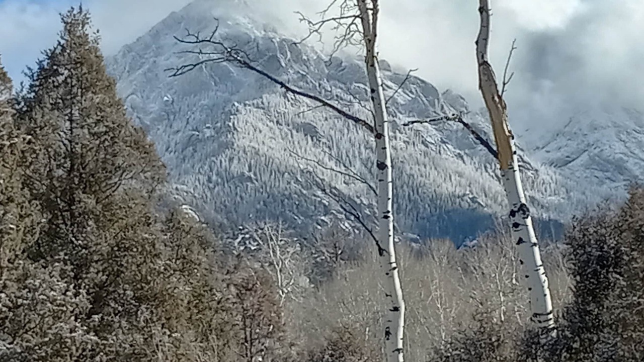 Photo of Outdoor in Baca Grande