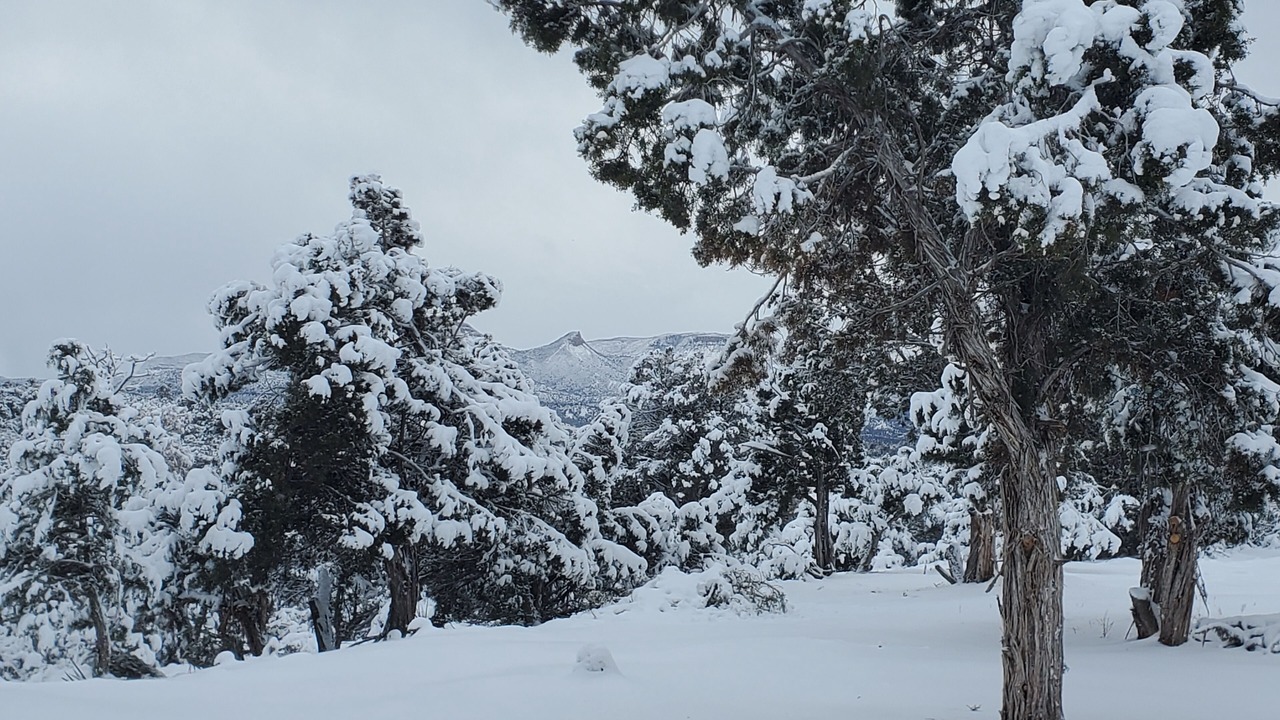 Photo of Others in Cortez