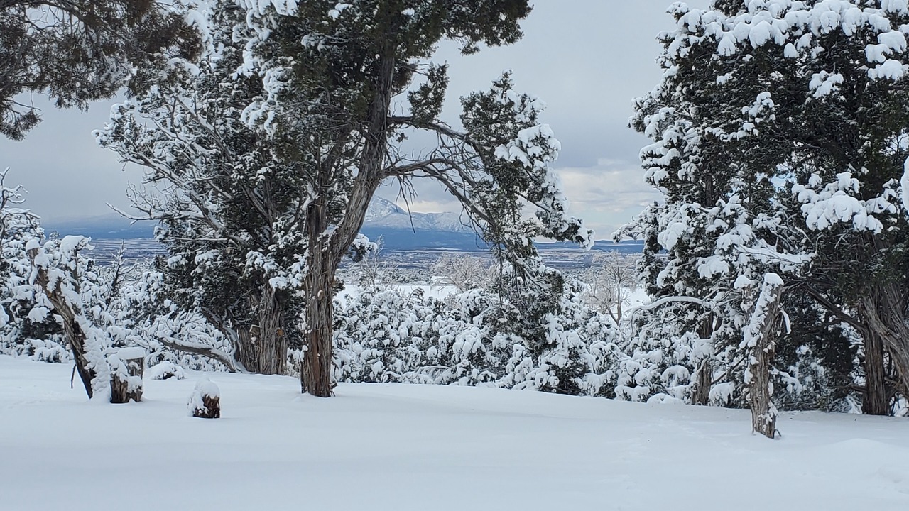 Photo of Others in Cortez