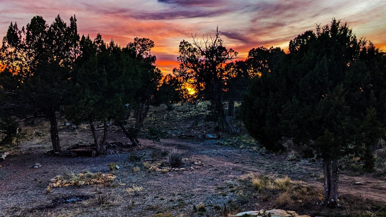 Photo of Outdoor in Cortez