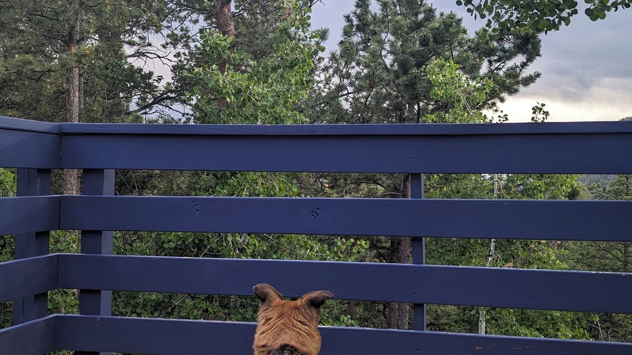 Photo of Outdoor in Cripple Creek