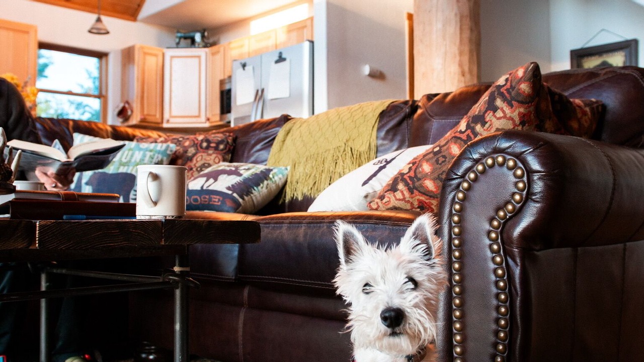 Photo of Livingroom in Michigan Hill