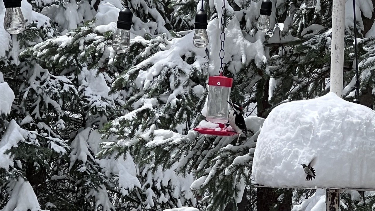 Photo of Outdoor in Idaho Springs