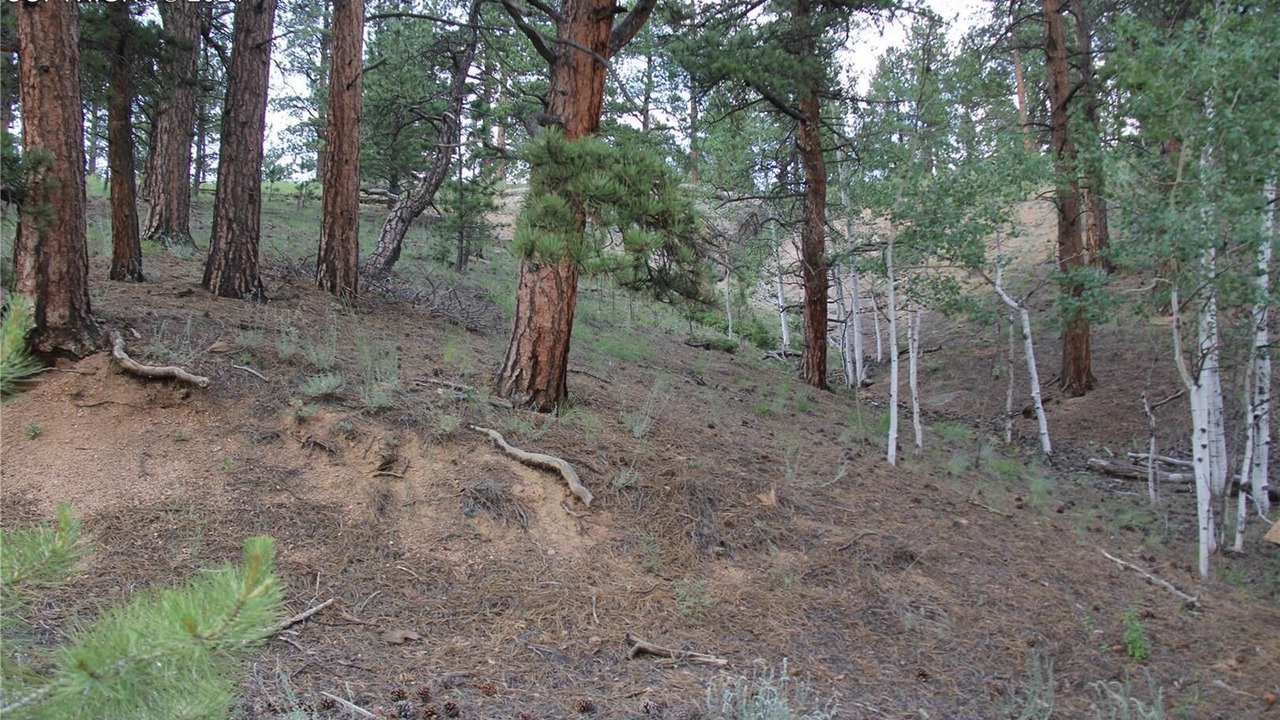 Photo of Outdoor in Divide