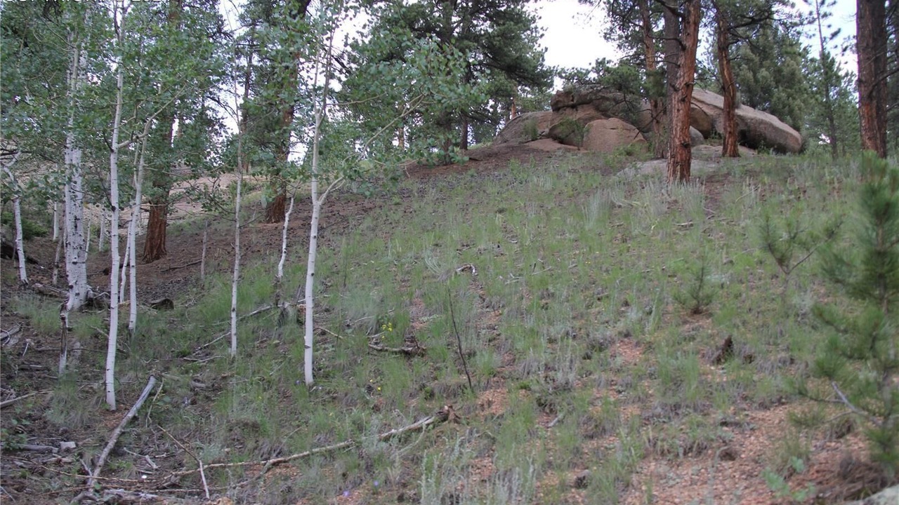 Photo of Outdoor in Divide