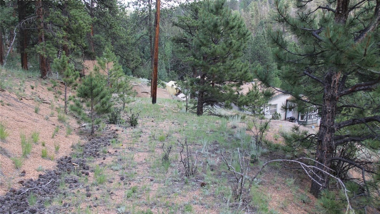 Photo of Outdoor in Divide