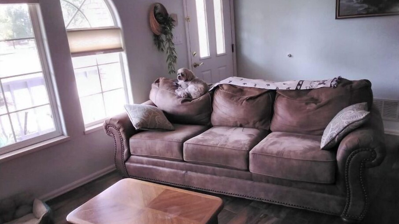 Photo of Livingroom in Grand Junction