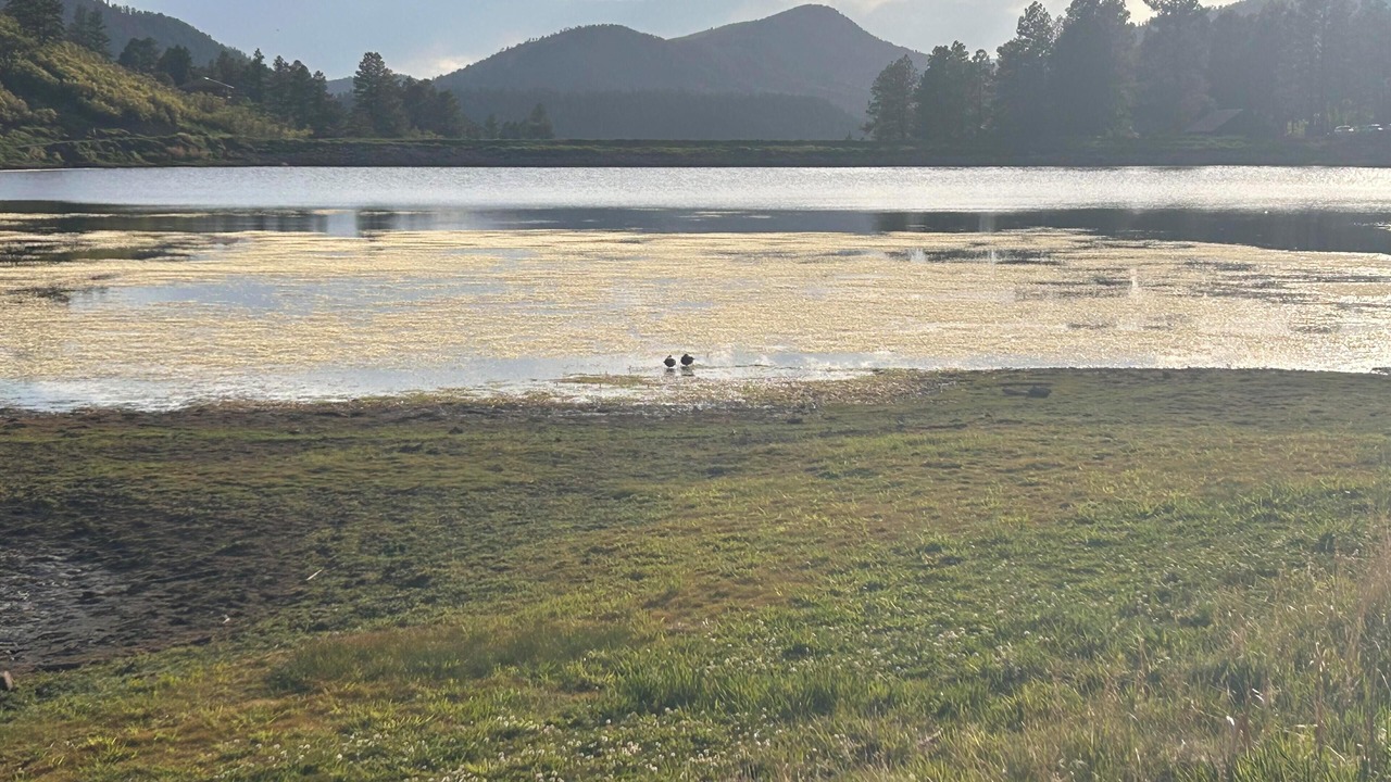 Photo of Outdoor in Forest Lakes