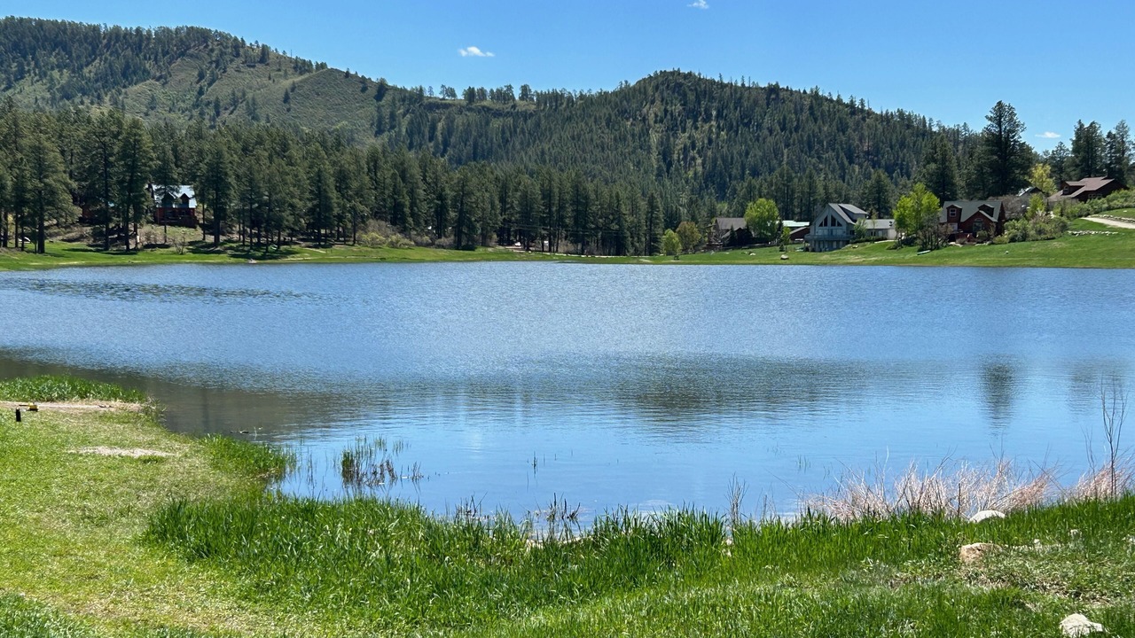 Photo of Outdoor in Forest Lakes
