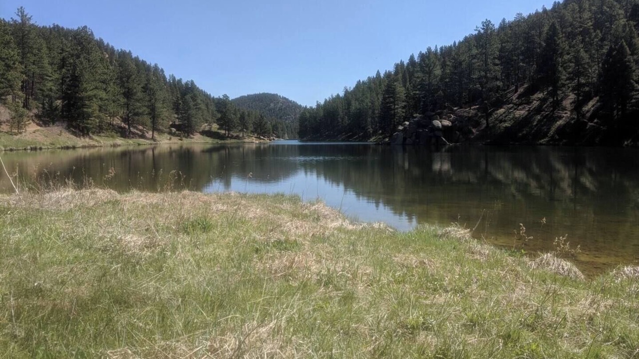 Photo of Others in Palmer Lake