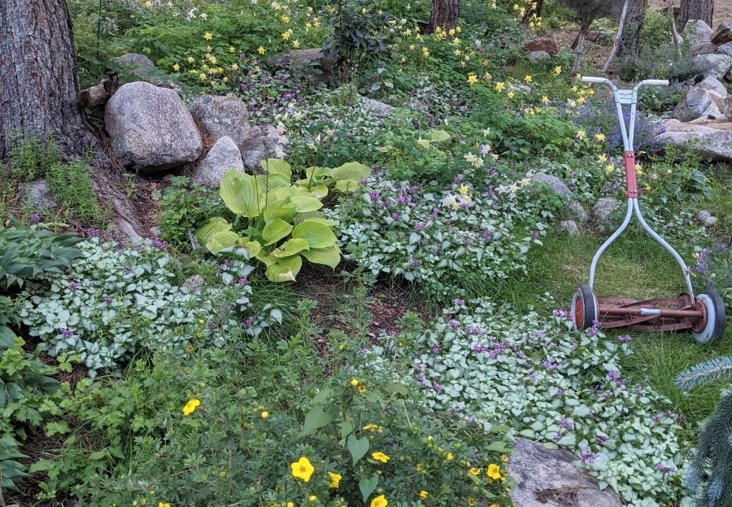 Photo of Outdoor in Allenspark