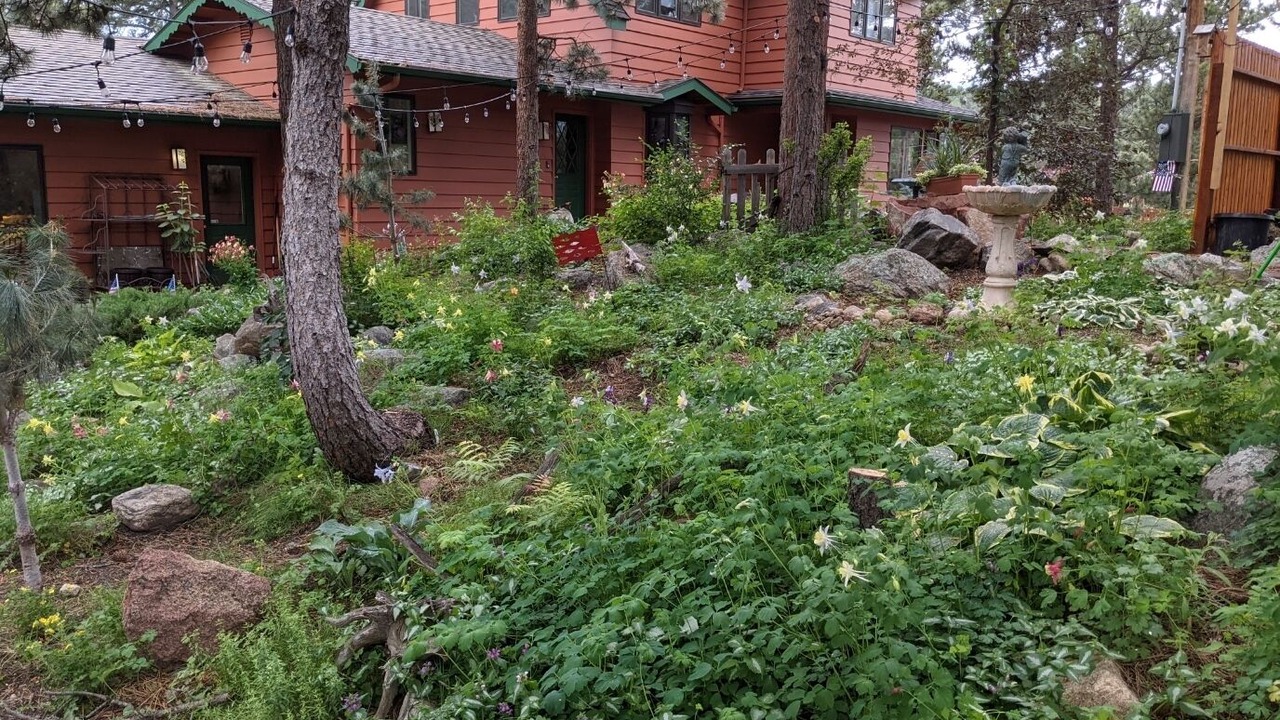 Photo of Outdoor in Allenspark