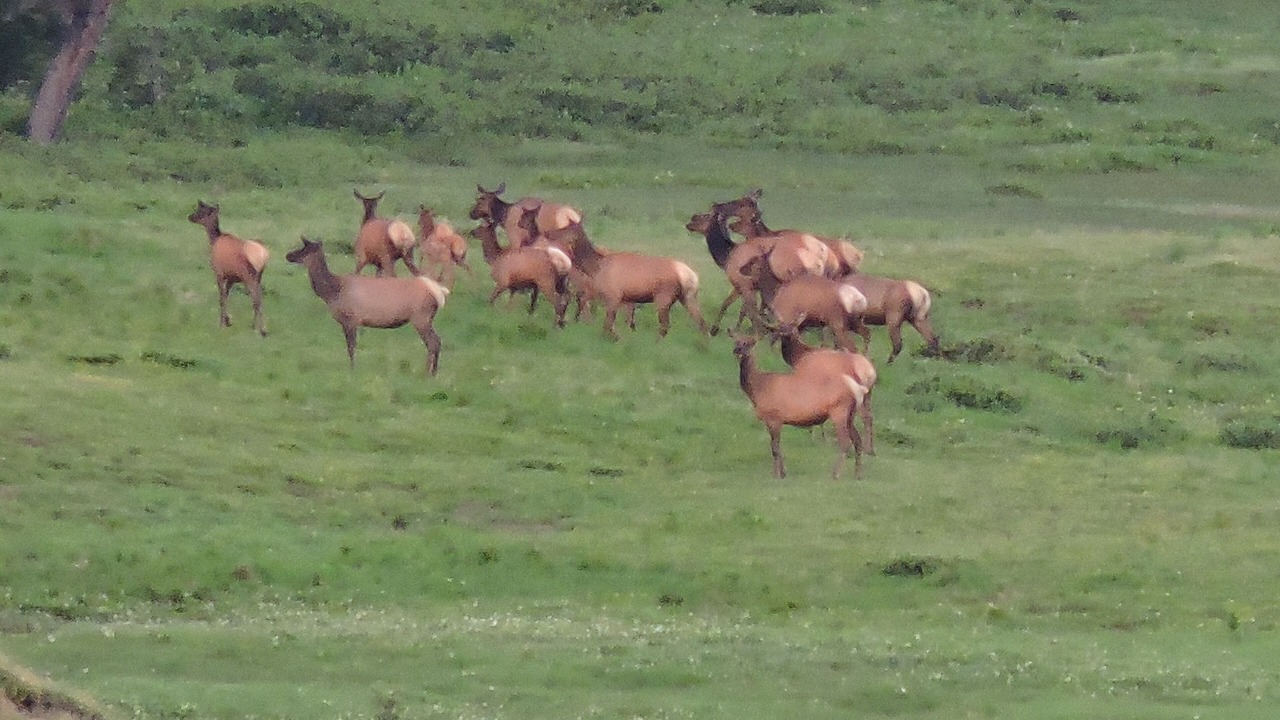 Photo of Outdoor in Capulin