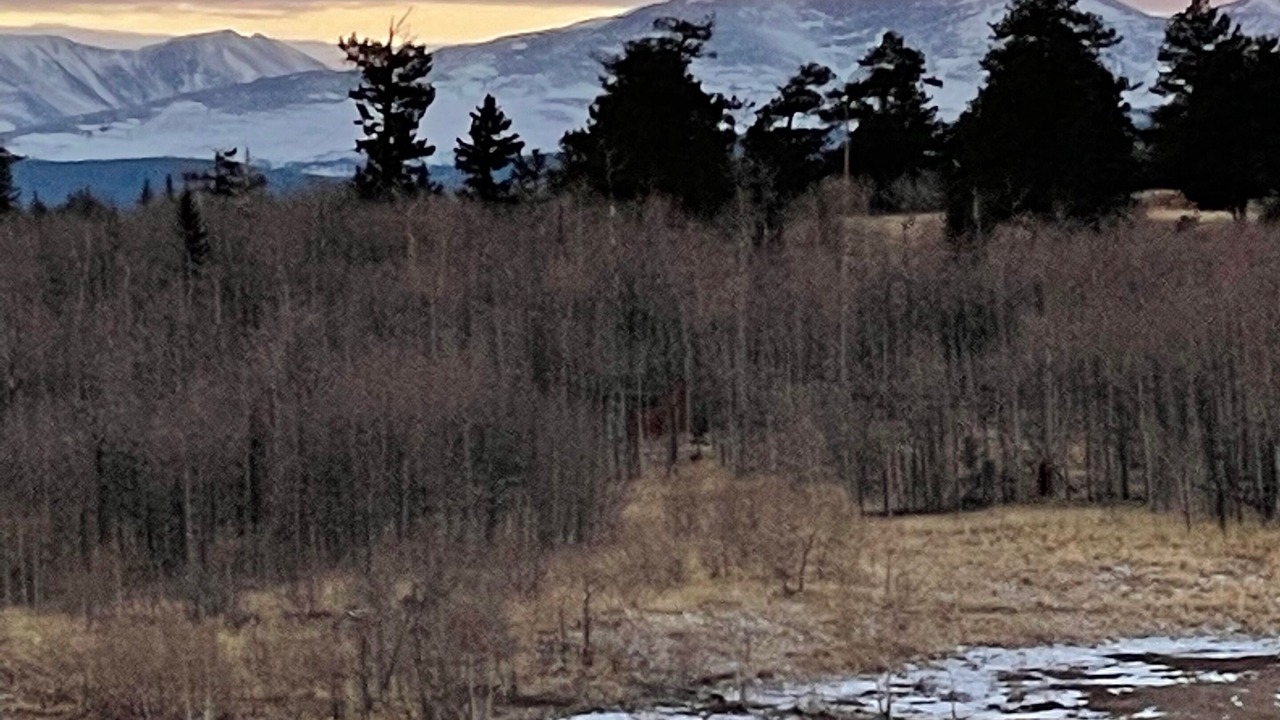 Photo of Others in Indian Mountain