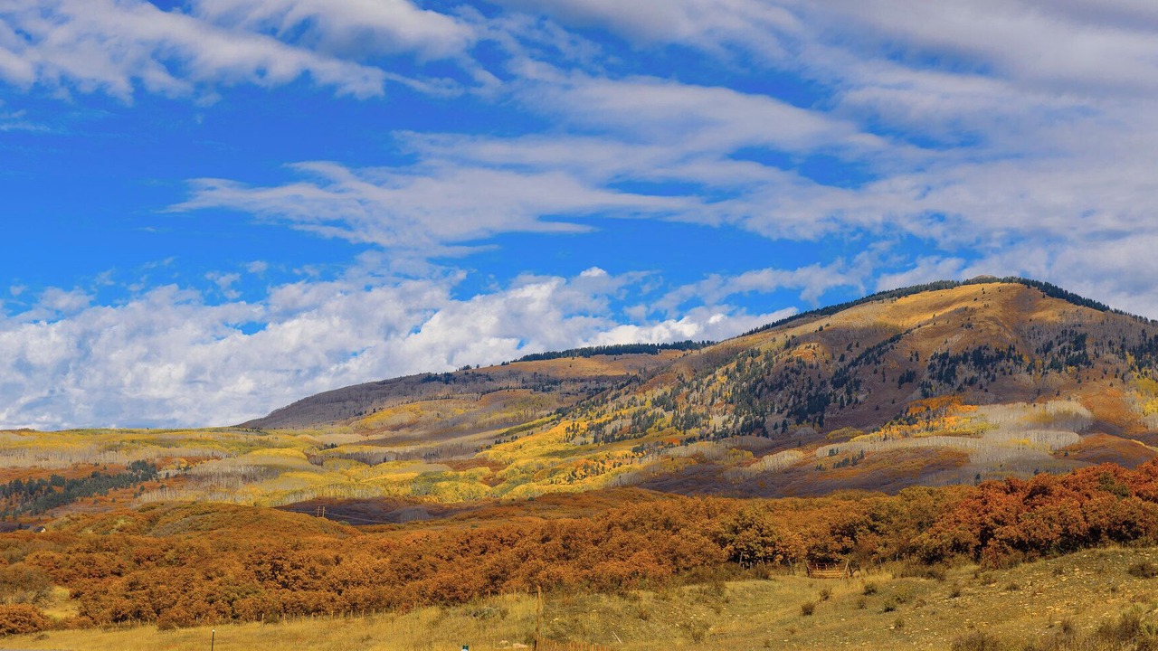 Photo of Others in Mesa Verde National Park