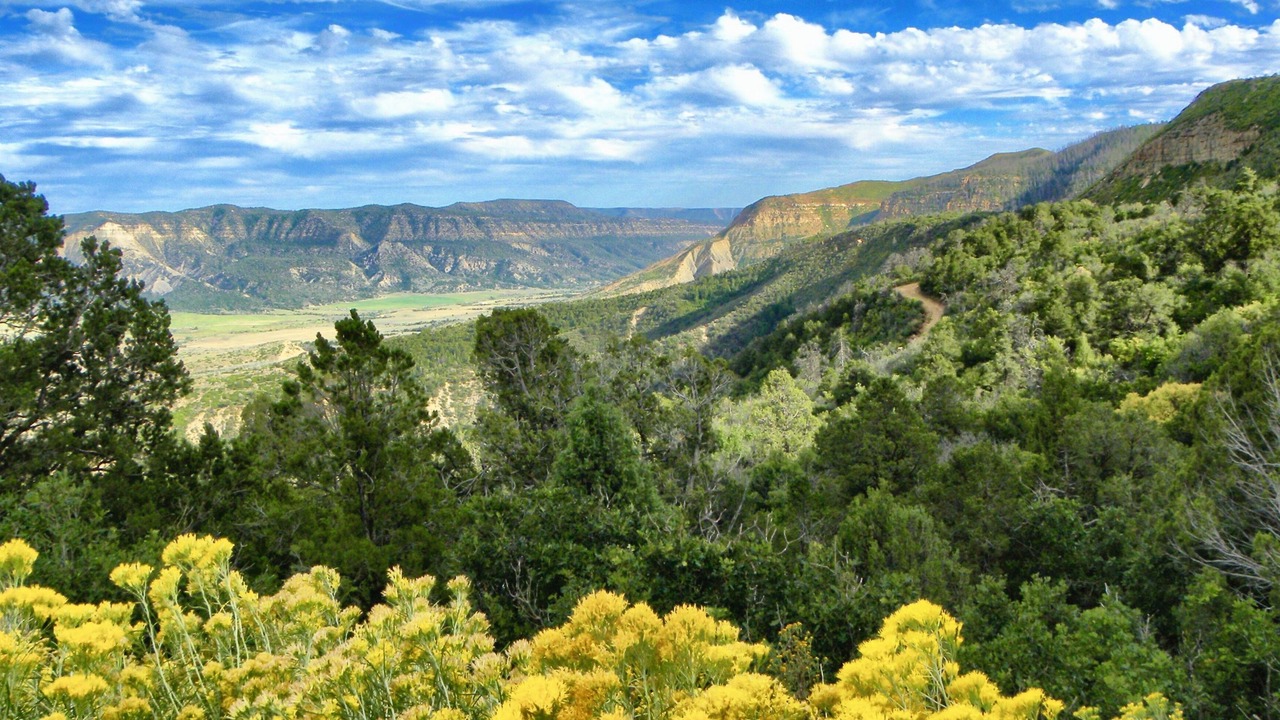 Photo of Others in Mesa Verde National Park