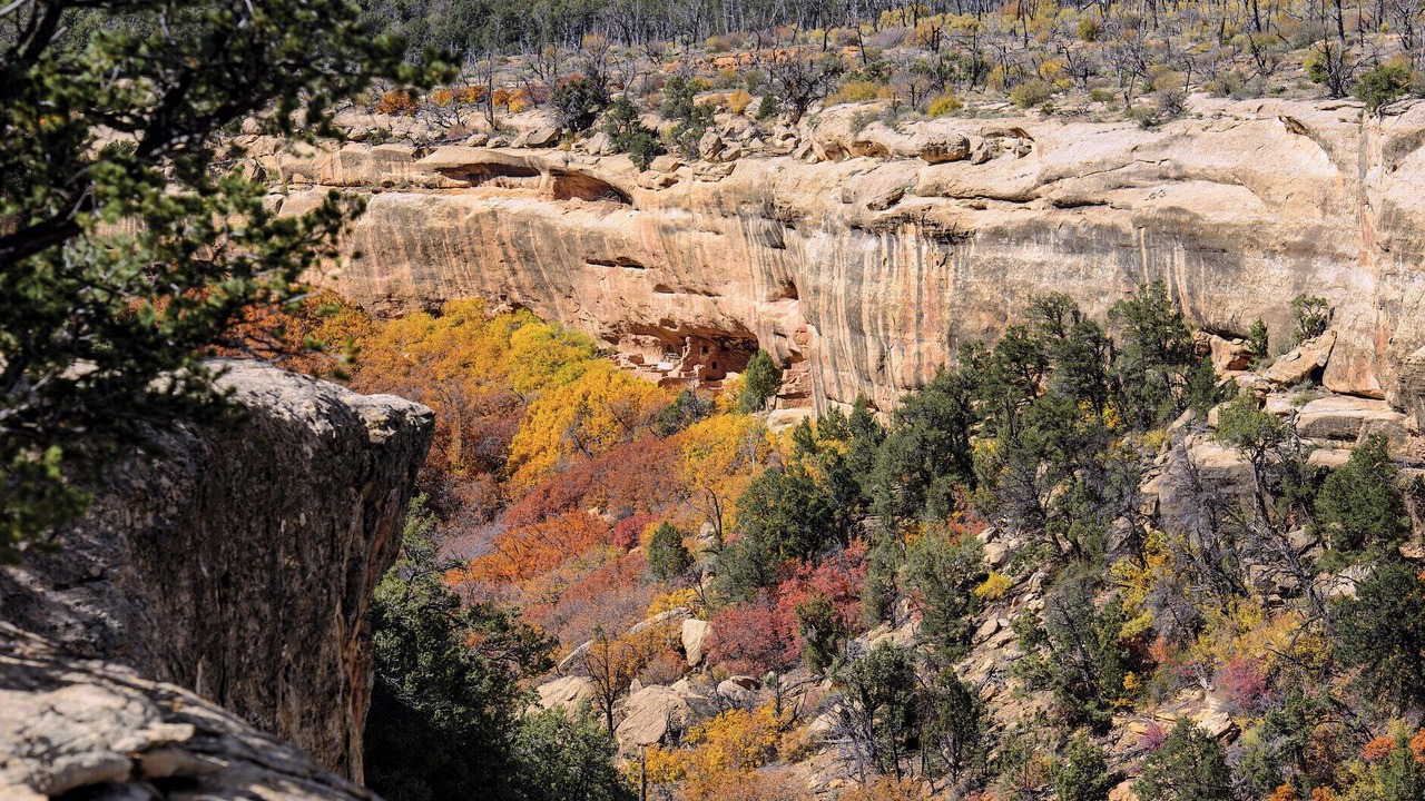 Photo of Others in Mesa Verde National Park