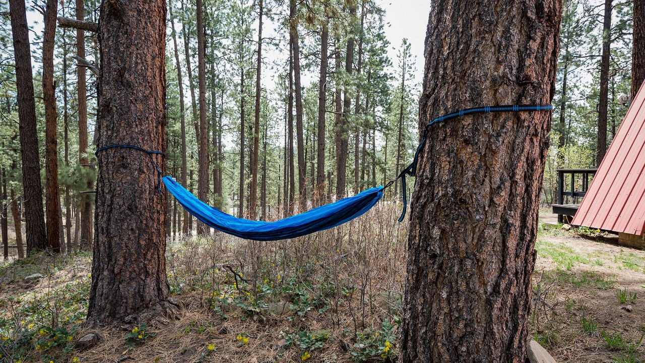 Photo of Others in Forest Lakes