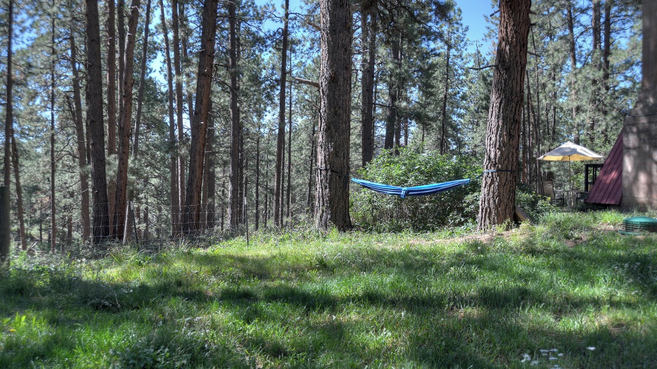 Photo of Others in Forest Lakes