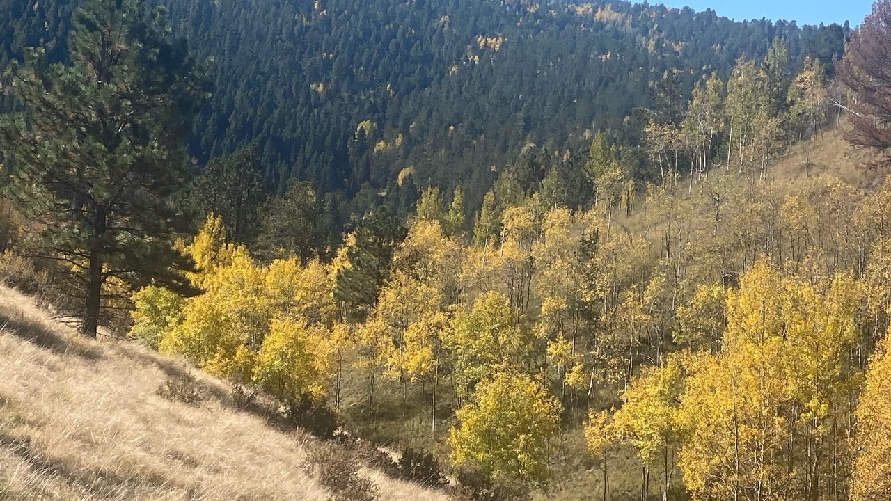 Photo of Others in Rainbow Valley