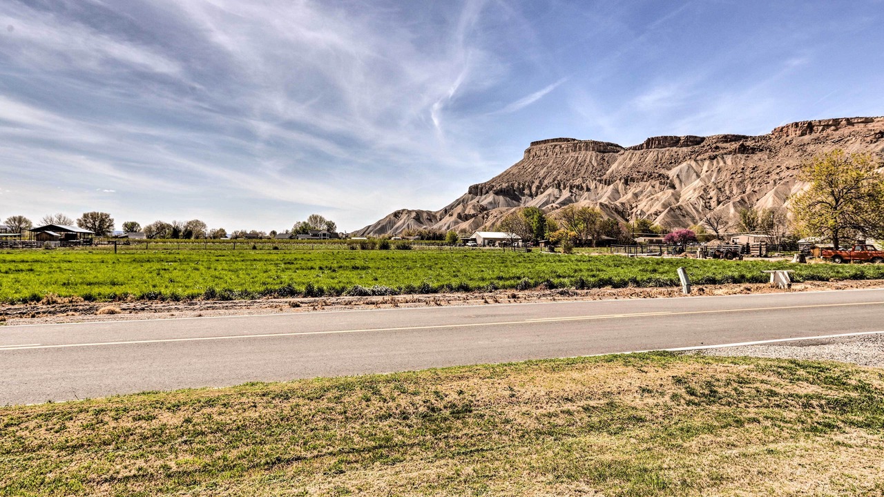 Photo of Others in Palisade