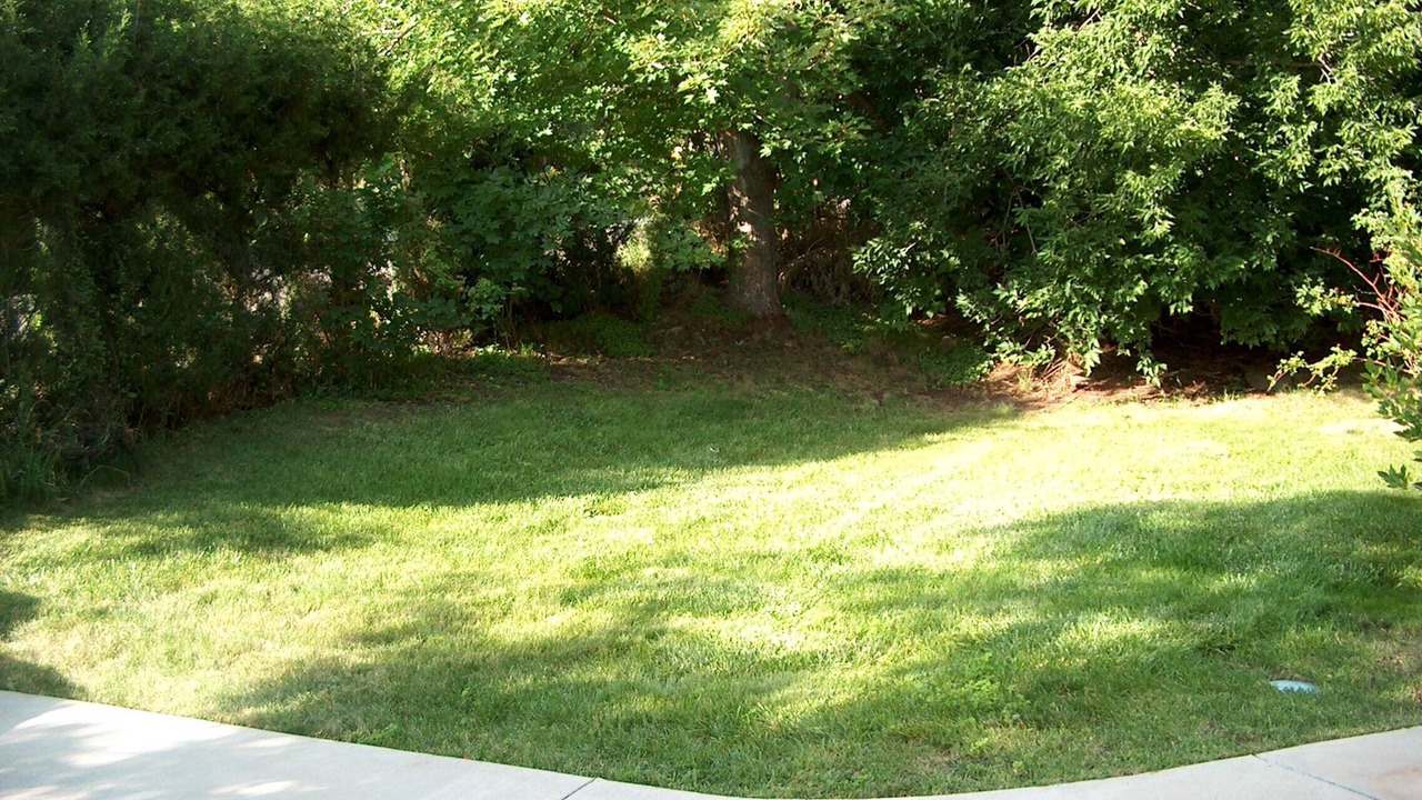 Photo of Outdoor in Golden
