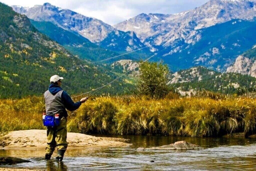 Photo of Others in Golden
