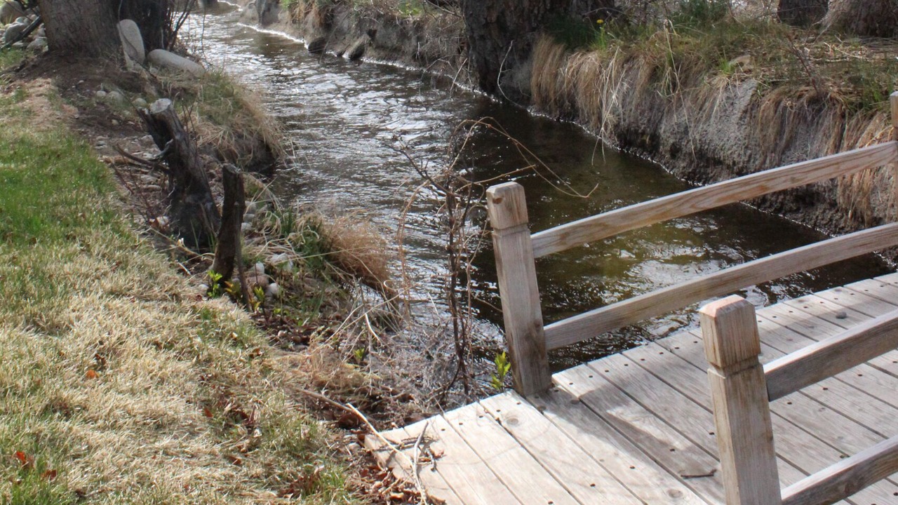 Photo of Others in Buena Vista
