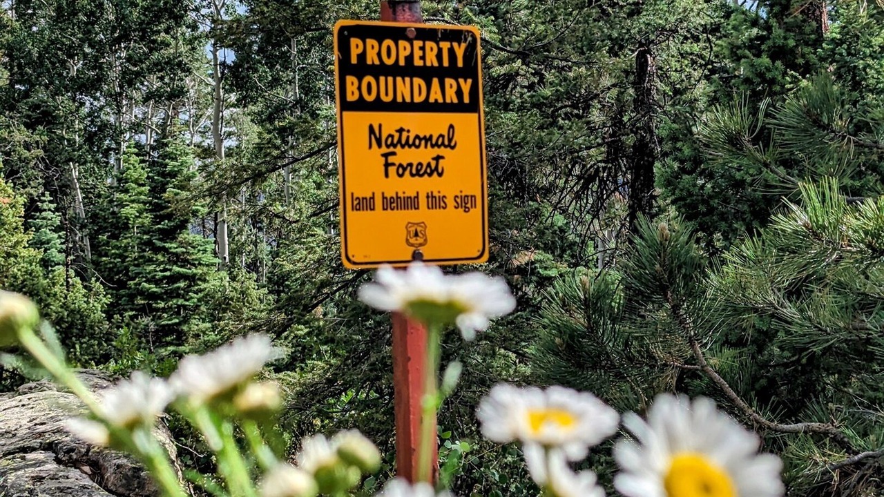Photo of Others in Columbine Lake