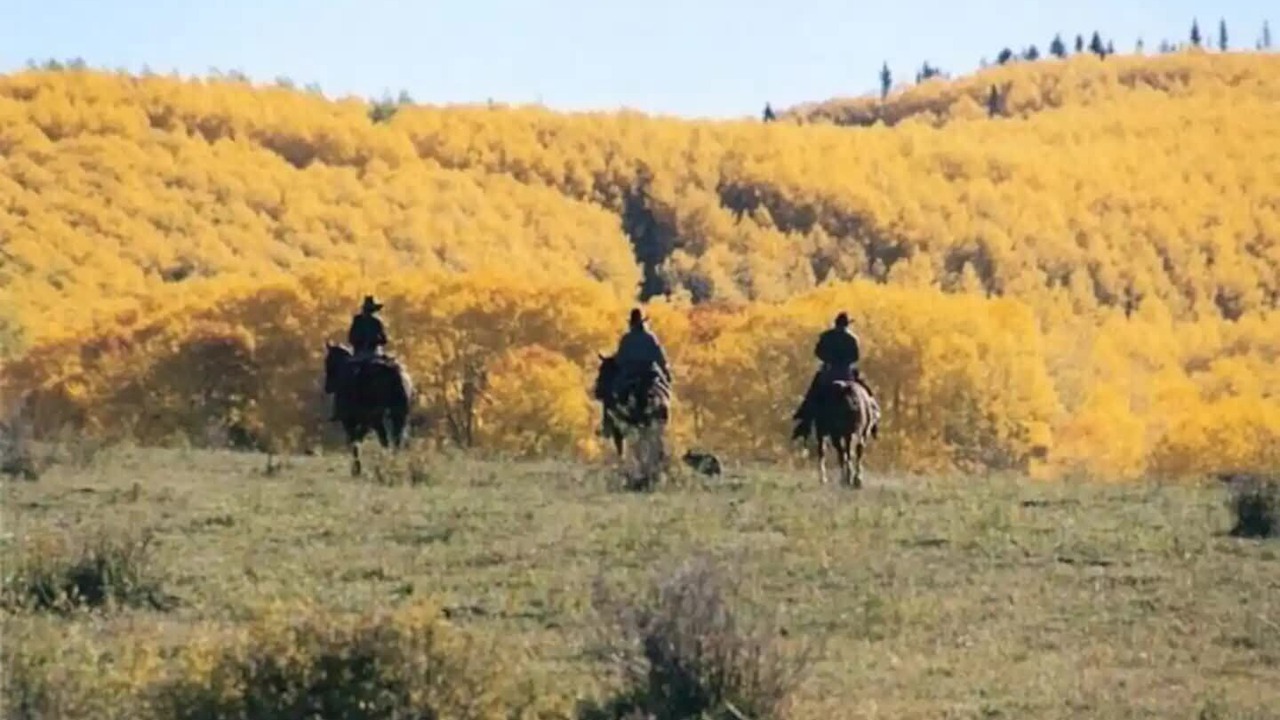 Photo of Others in Mancos