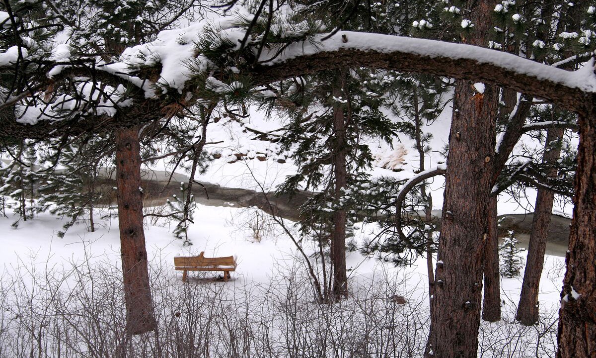 Photo of Others in Estes Park