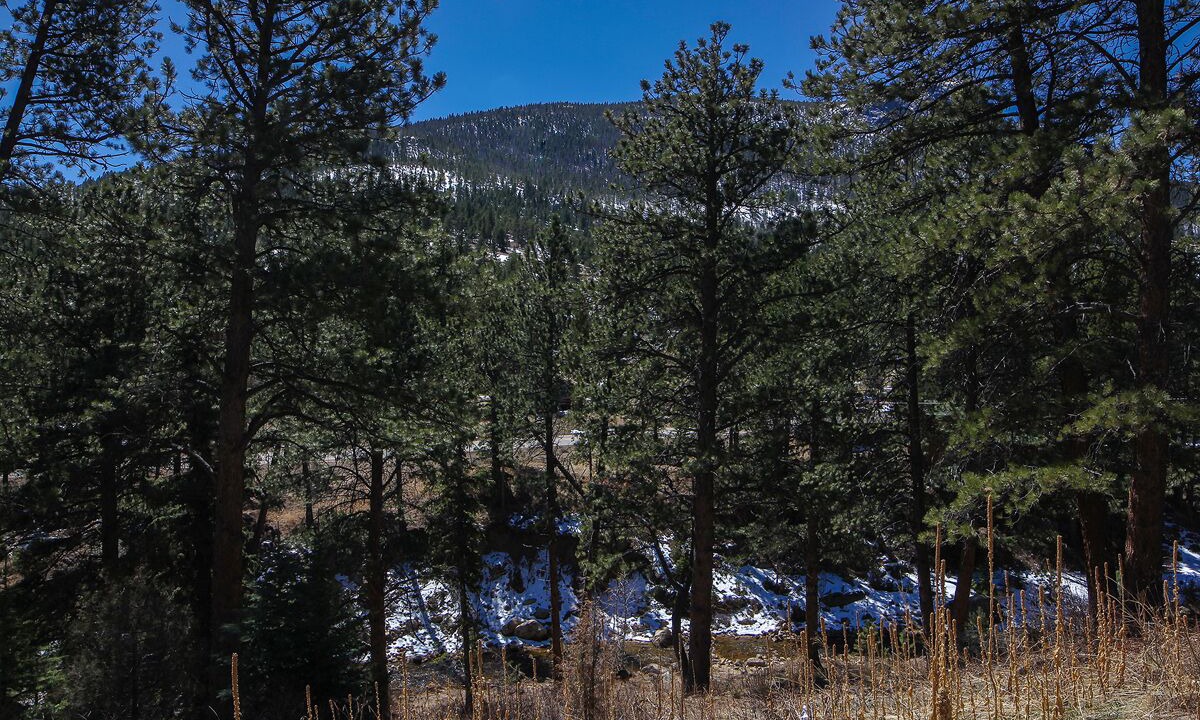 Photo of Others in Estes Park