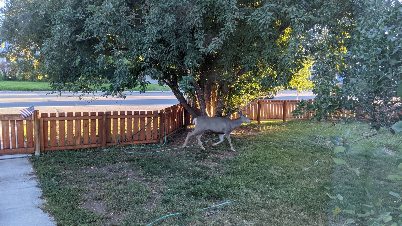 Photo of Outdoor in Gunnison