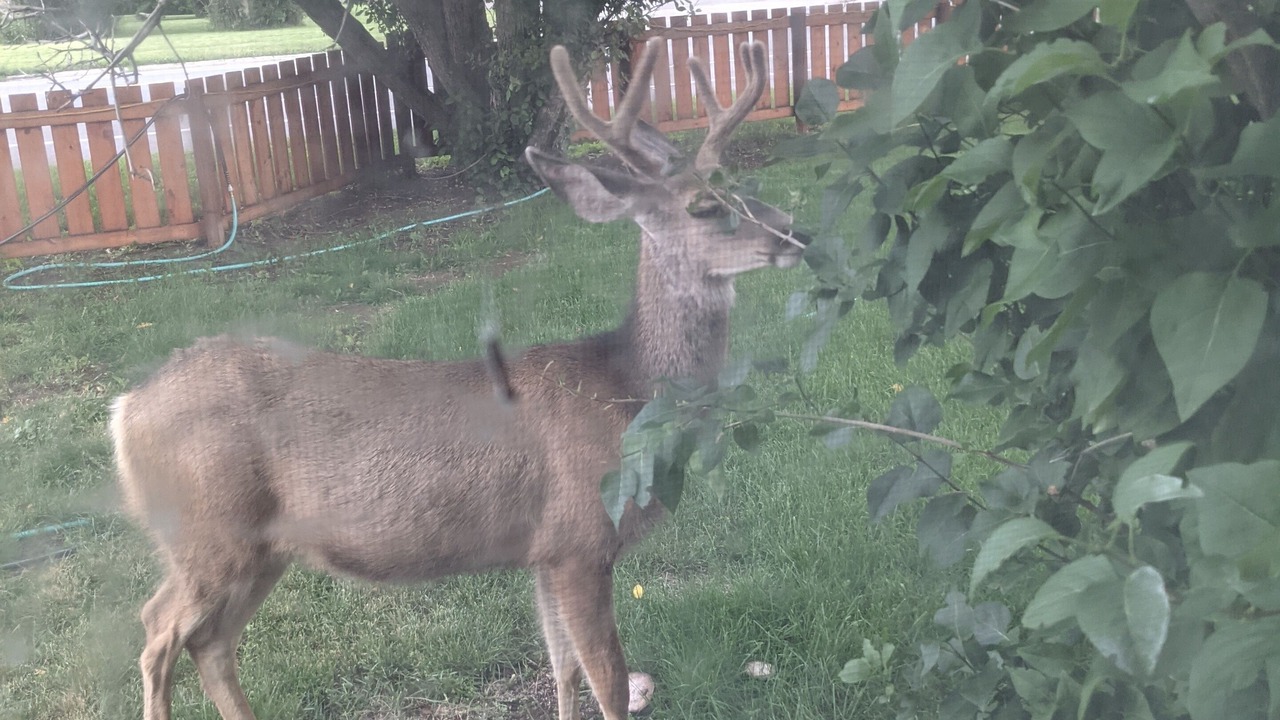 Photo of Outdoor in Gunnison