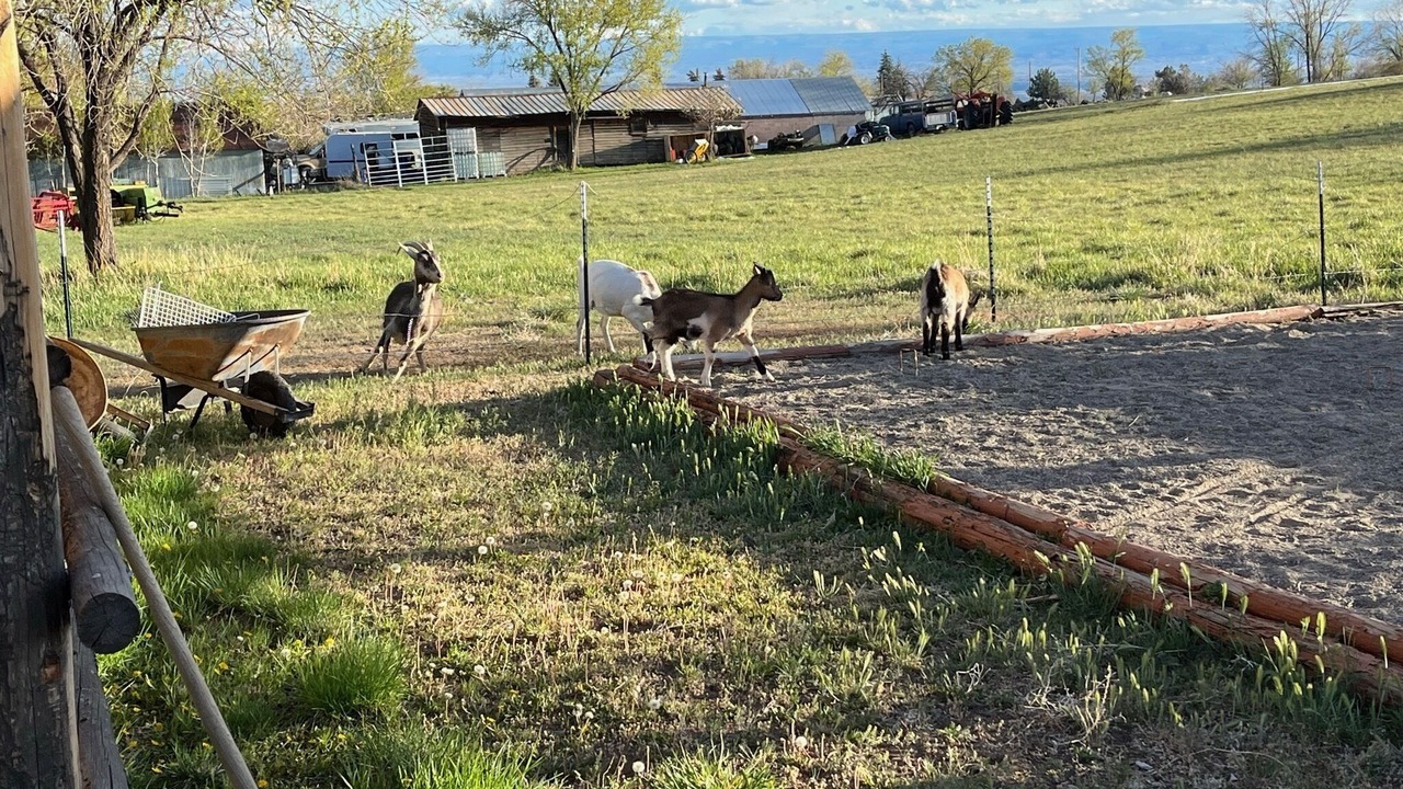 Photo of Outdoor in Cedaredge