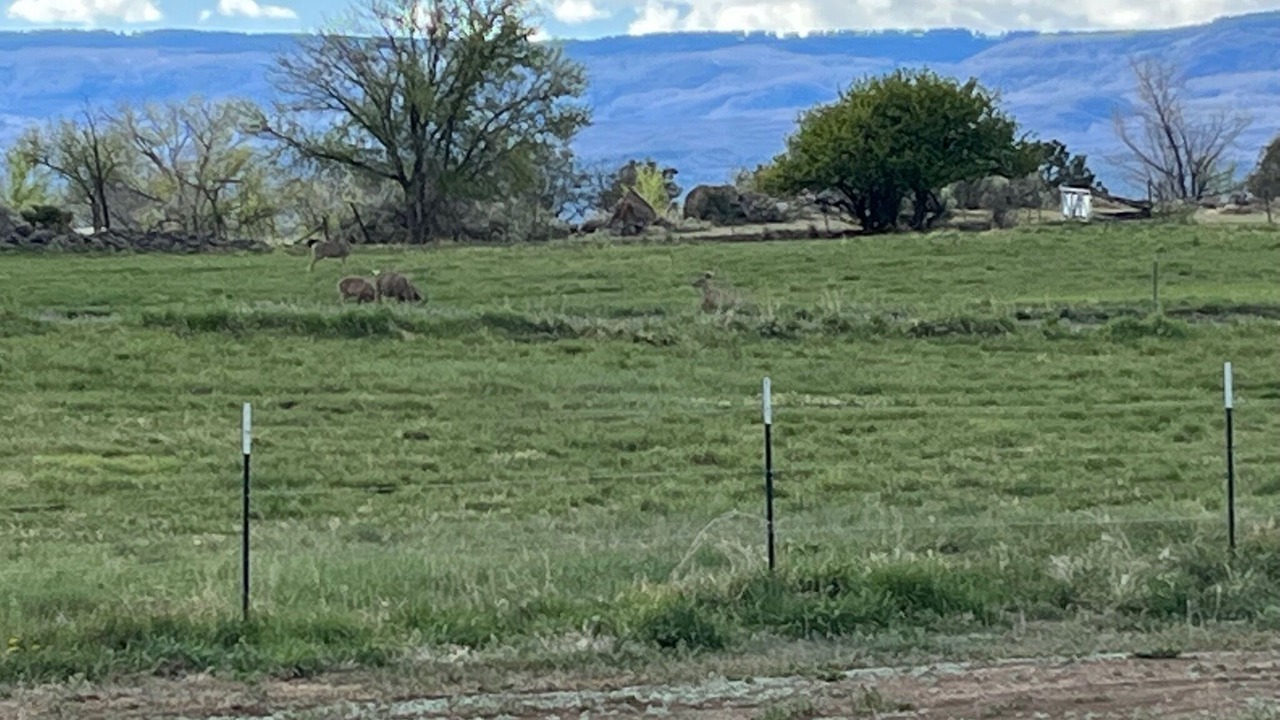 Photo of Others in Cedaredge