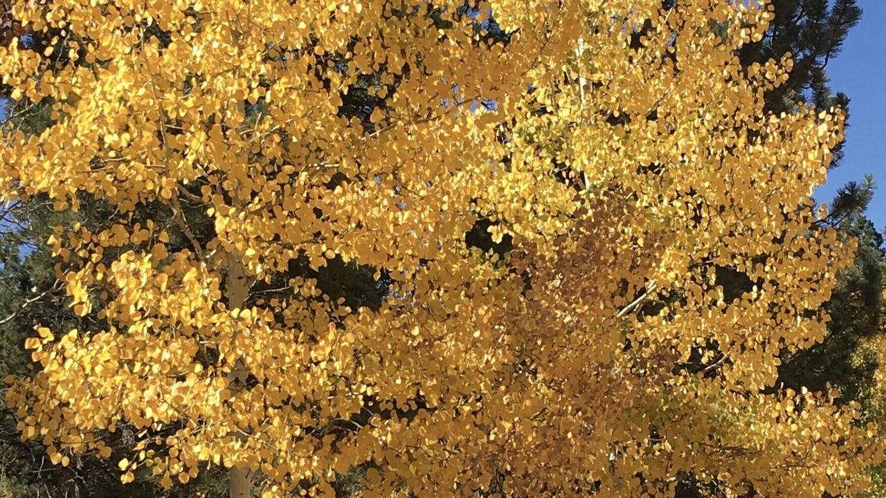 Photo of Outdoor in Bailey