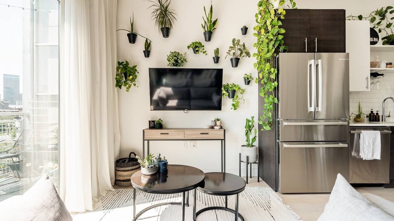 Photo of Livingroom in Five Points