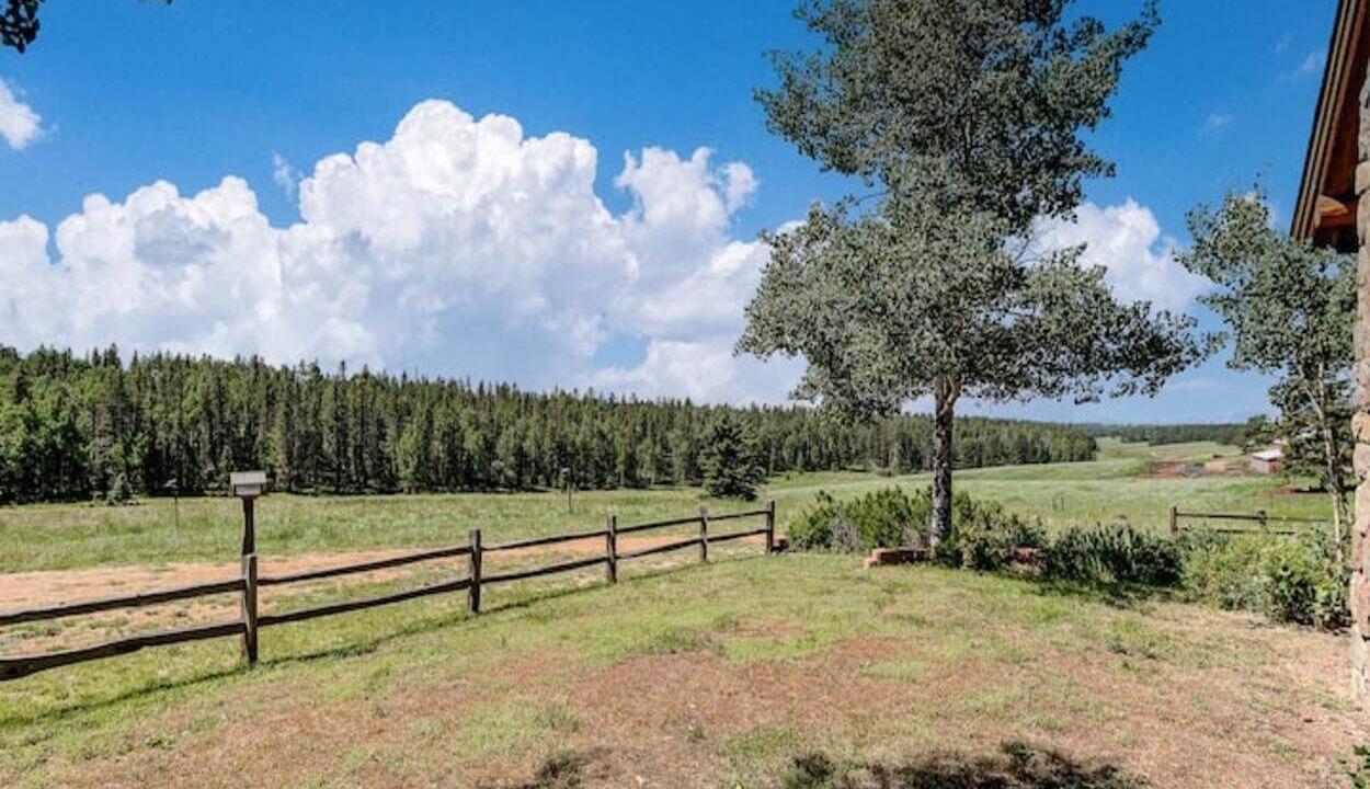 Photo of Outdoor in Divide