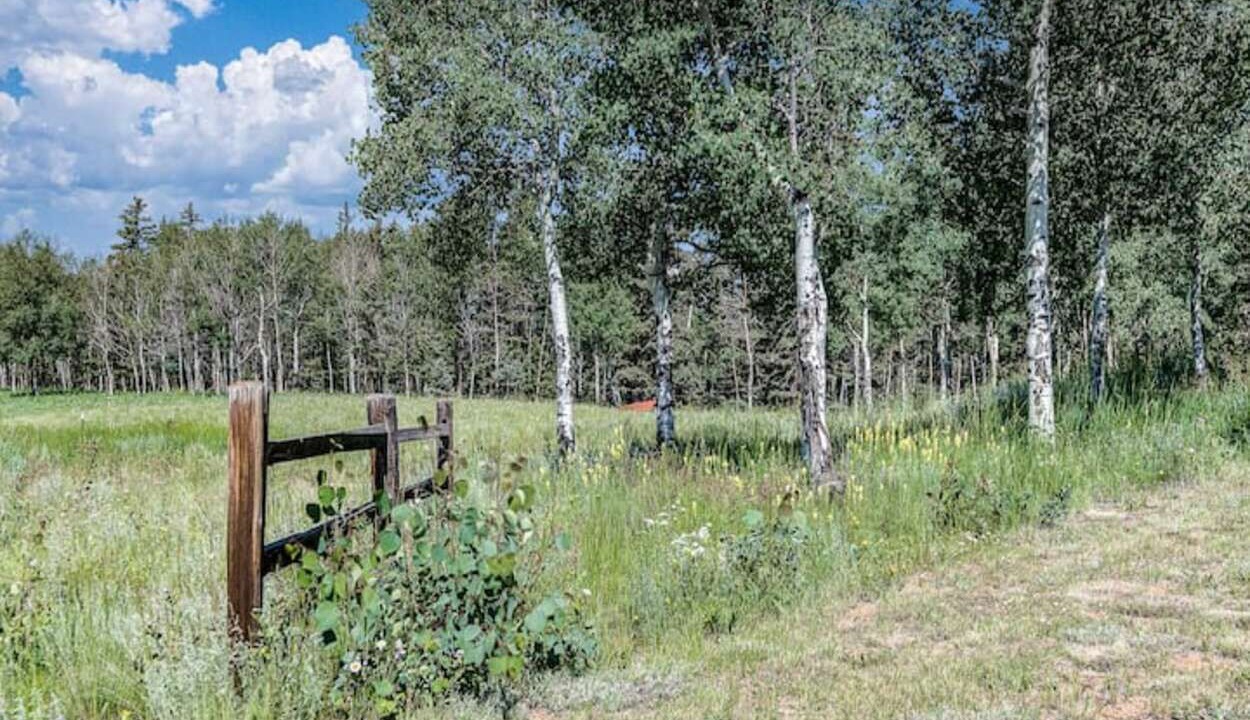 Photo of Outdoor in Divide