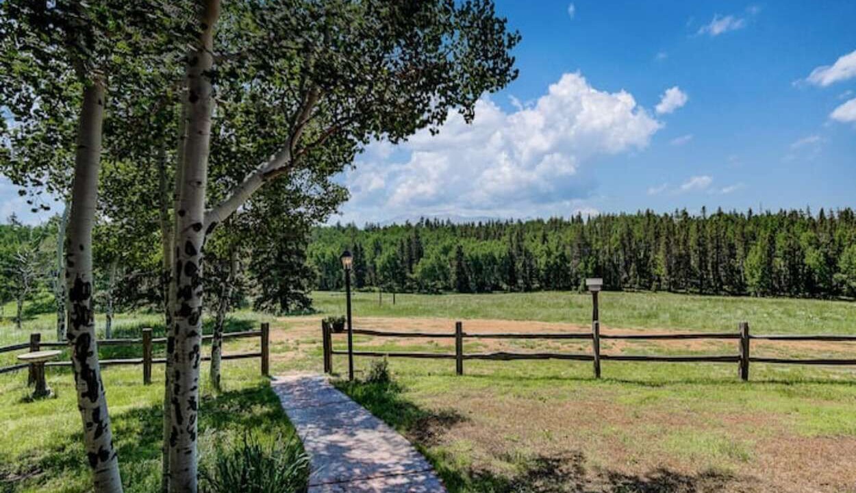 Photo of Outdoor in Divide