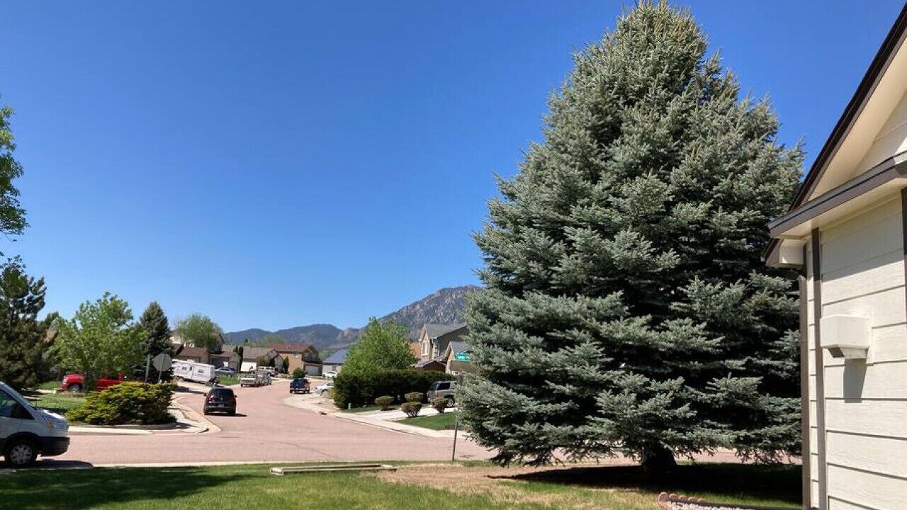 Photo of Others in Cheyenne Meadows