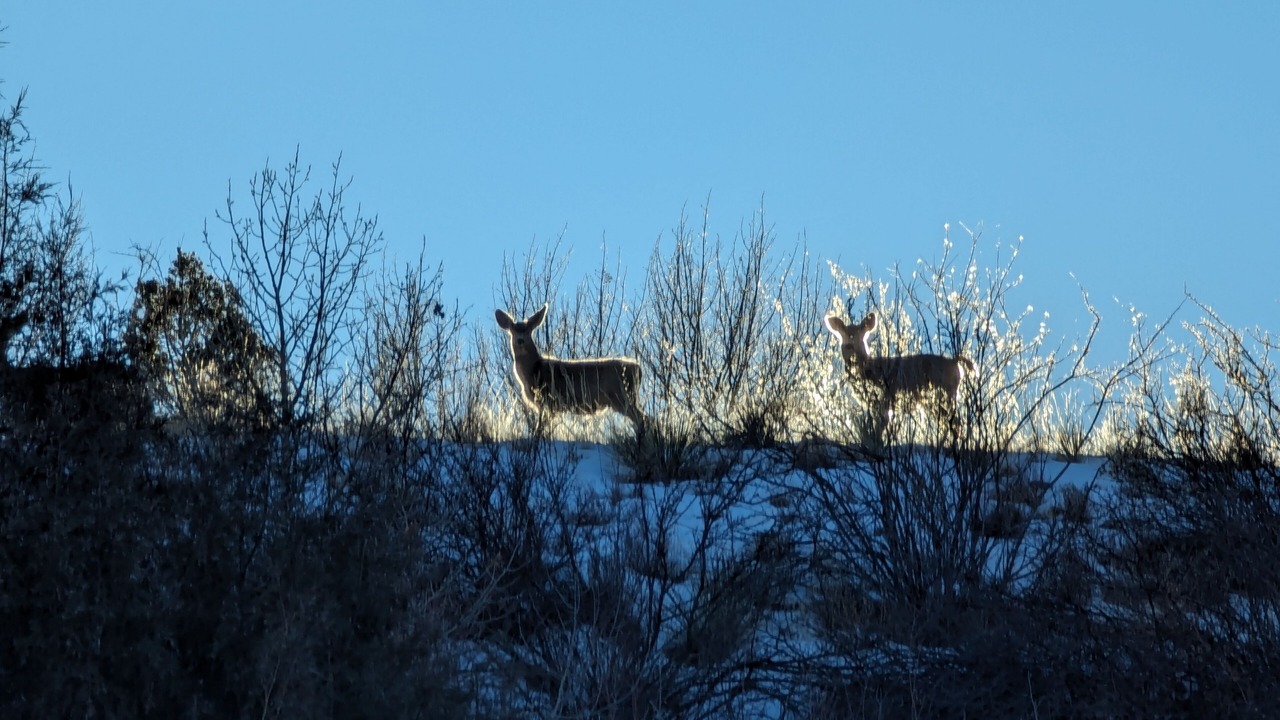 Photo of Others in Salida