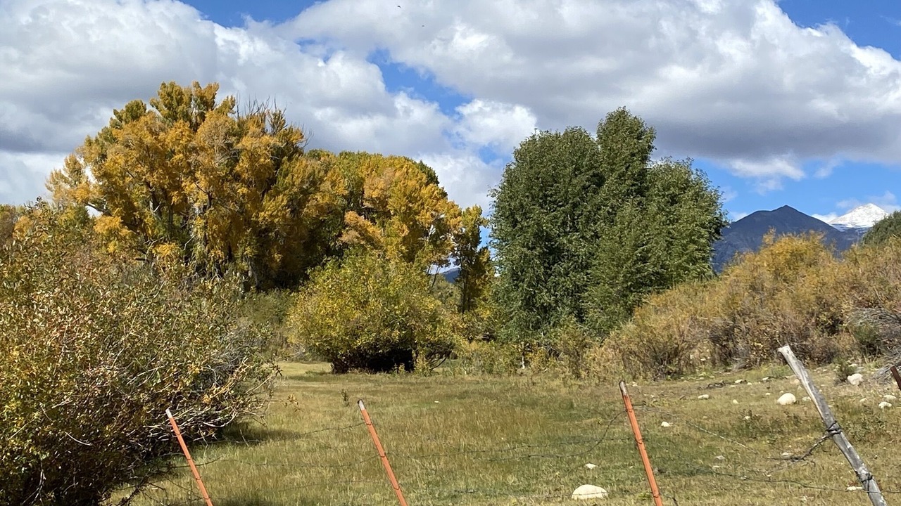 Photo of Outdoor in Salida