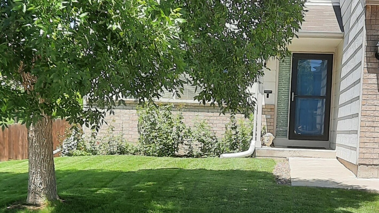 Photo of Others in Henderson